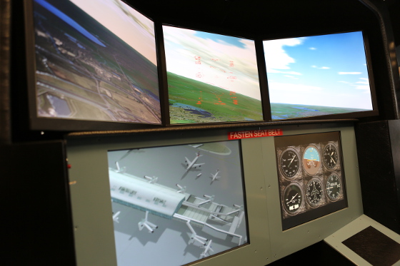 Flight Simulator - photograph